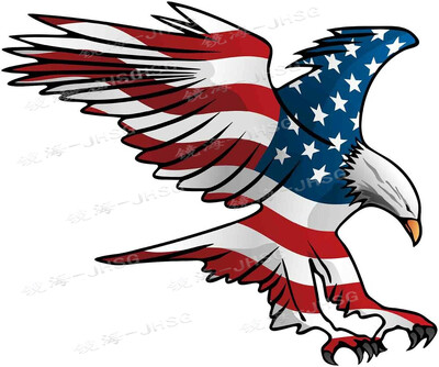 American Condor Eagle fejmatrica - autó, teherautó, motorkerékpár, laptop, lökhárító karcolás elleni matrica - vízálló