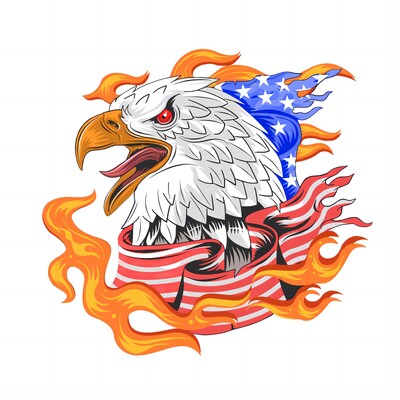 American Condor Eagle fejmatrica - autó, teherautó, motorkerékpár, laptop, lökhárító karcolás elleni matrica - vízálló