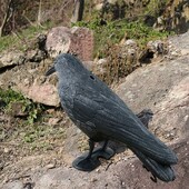 Pigeon Scarer Life Size māneklis Crow Kaitēkļu kontroles atbaidīšanas Scarecrow