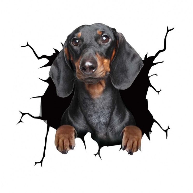 Autó személyiség Kutya 3D sztereoszkópikus motorkerékpár autómatrica karosszéria Kreatív karc borító matrica Hátsó karc dekoratív matrica W