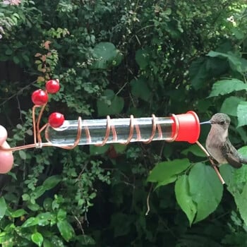 Βεντούζα παραθύρου Hummingbird Feeder Bird Supplies Τροφοδότες νερού Creative Feeder Bird Feeding Glass Yard Garden αξεσουάρ