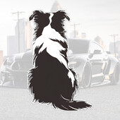 TM404# Αυτοκόλλητα αυτοκινήτου Border Collie πίσω - Αυτοκόλλητα Cartoon Dog για αυτοκίνητα - Αδιάβροχα αυτοκόλλητα αυτοκινήτου βινυλίου - Αυτοκόλλητο ντεκόρ