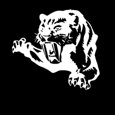 LYKX dažādu izmēru mežonīgā tīģera automašīnas uzlīme Tiger ūdensizturīga noņemama vinila uzlīme Pašlīmējošas automašīnas neredzamā vāka uzlīmes