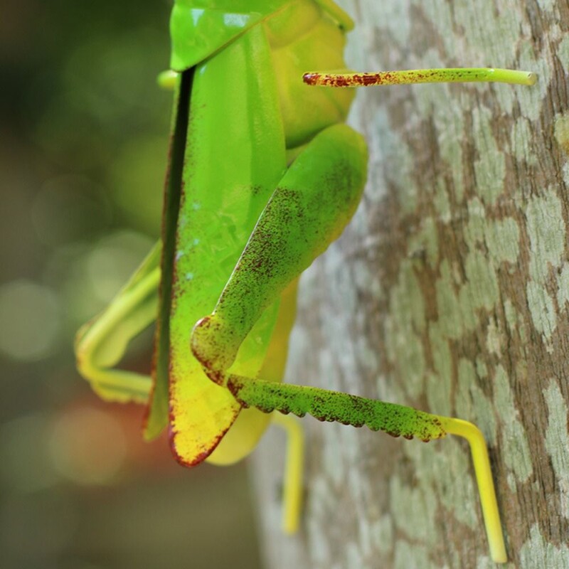 Miela metalinė skėrių skulptūra Skėriaus žiogo ornamentas lauko sienoje, sodo statulos