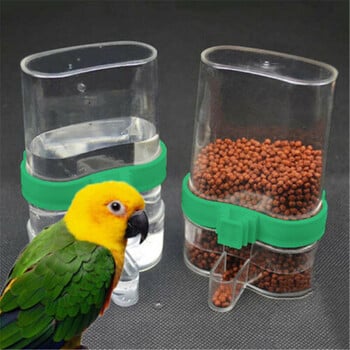 Parrot Bird Feeder Food Water Feeding Large, Plastic Automatic Drinker Parrot Pet Parrot Drinking Cup Pet Bird Supplies Dispenser