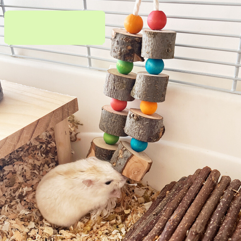 Papūgos žaislas snapu šlifavimas nuoboduliui malšinti šinšila jūrų kiaulytė augintinio dantukų dygimas styga obelis žaislas žiurkėnui apželdinimo reikmenys