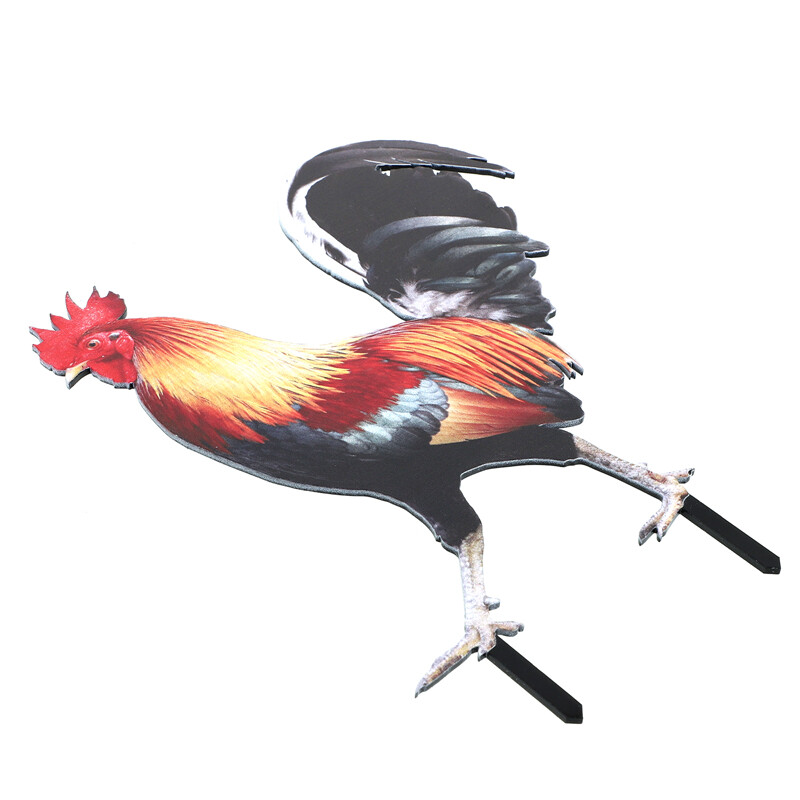 Akrilinės gaidžio statulos dekoras – tikrovišką gyvenimą primenanti dvipusė sodo statula akrilo vištienos kiemo meno skulptūra kiemui