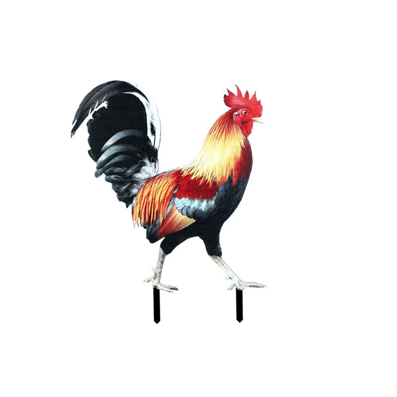 Akrilinės gaidžio statulos dekoras – tikrovišką gyvenimą primenanti dvipusė sodo statula akrilo vištienos kiemo meno skulptūra kiemui