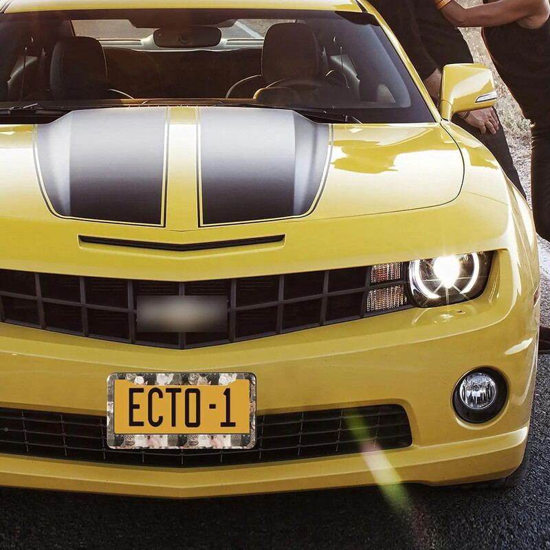 Πλαίσιο πινακίδας αυτοκινήτου Cute Dog Pattern Πλαίσιο πινακίδας αυτοκινήτου 2 Pack με 2 οπές Πλαίσιο ετικέτας αυτοκινήτου για γυναίκες άνδρες Οχήματα ΗΠΑ