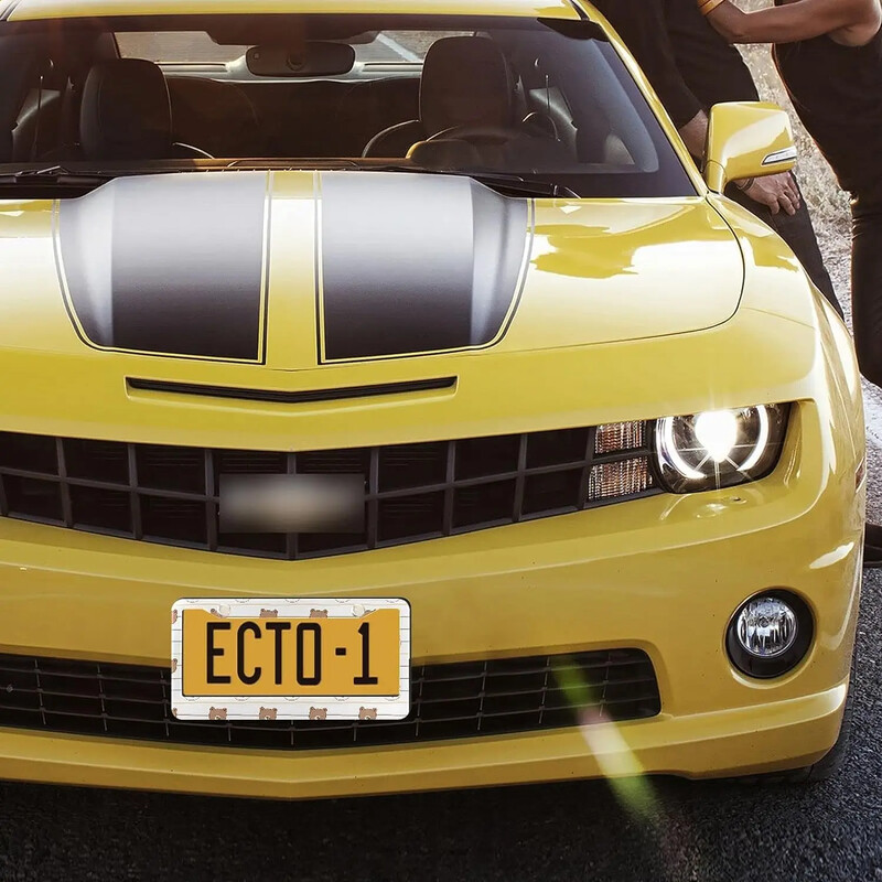 Crtani okvir za registarske pločice s uzorkom medvjeda 2 paketa, držač za registarske pločice s 2 rupe, okvir za oznake automobila za žene, muškarce, američka vozila