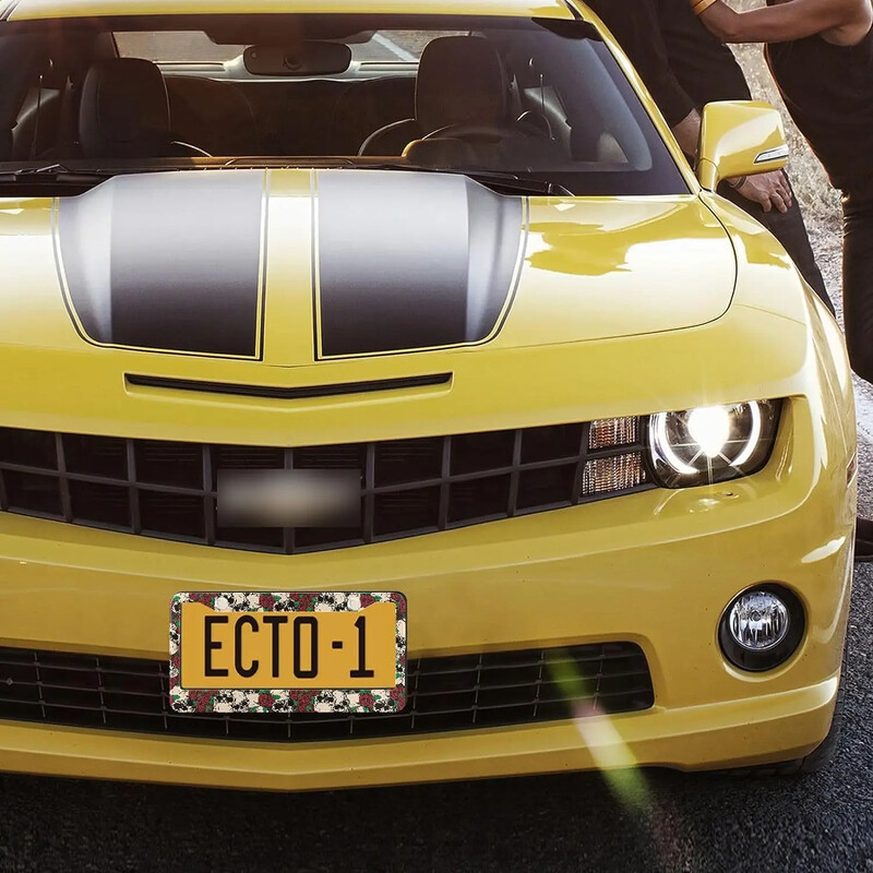 Okvir za registarske pločice s uzorkom lubanje, 2 paketa, okvir za registarske pločice s 2 rupe, okvir za oznake za žene, muškarce, američka vozila