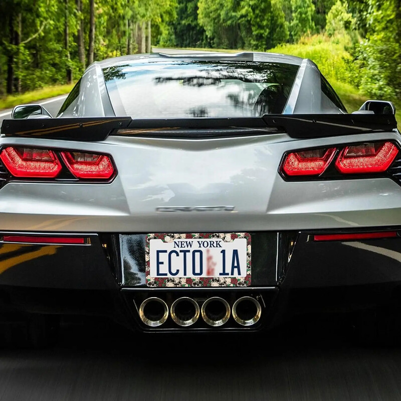 Okvir za registarske pločice s uzorkom lubanje, 2 paketa, okvir za registarske pločice s 2 rupe, okvir za oznake za žene, muškarce, američka vozila