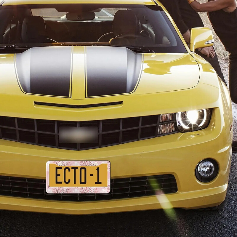 Uzorak trešnjinih cvjetova Okvir za registarsku pločicu automobila Paket od 2 registarske pločice s 2 rupe Okvir za oznaku automobila za žene, muškarce, američka vozila