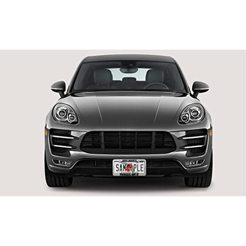 Metāla numura zīmes rāmis tētis nopirka Princese sapratu Humors Smieklīgs metāla birku turētājs Automašīnas piederumi Mīksti rozā 2 caurumi 1 rāmis