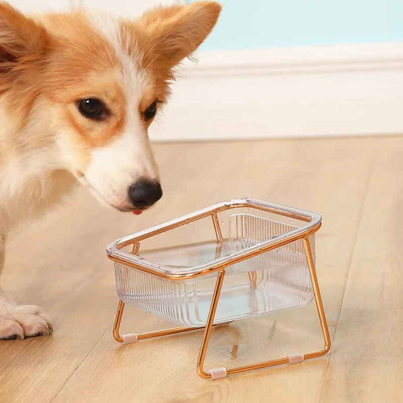 Kaķa bļoda caurspīdīga bļoda ar augstu pēdu slīpi kakla aizsardzība Dzeramais ūdens Kaķa graudu bļoda mājdzīvnieks Viegli tīrāma bļoda