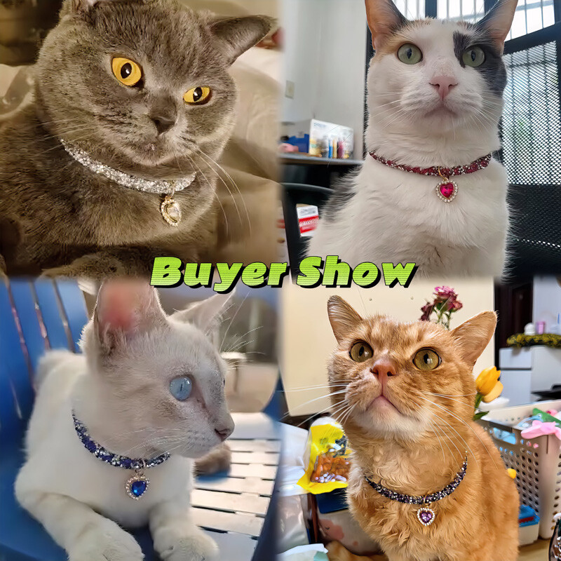 Luksusa kaķa kakla siksna ar sirds kristāla kulonu kucēns čivavas kaklarota atstarojošs kalnu kaķenes kakla siksna mājdzīvnieki aksesuāri