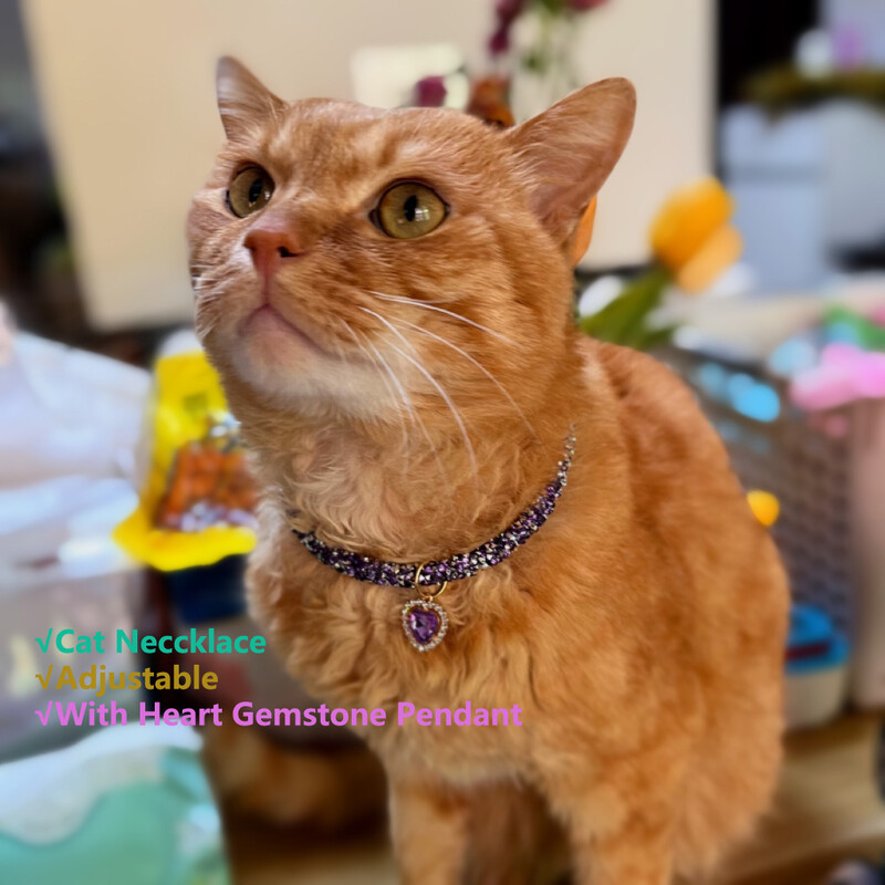 Luksusa kaķa kakla siksna ar sirds kristāla kulonu kucēns čivavas kaklarota atstarojošs kalnu kaķenes kakla siksna mājdzīvnieki aksesuāri