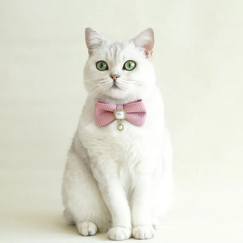 20-35 cm-es Állítható Gofris macskanyakörv Vintage Pearl Medálos Kisállat Nyakörv Aranyos Csengő Kis kutyanyakörv 2024 Új