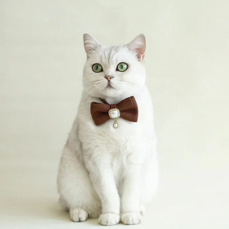 20-35 cm-es Állítható Gofris macskanyakörv Vintage Pearl Medálos Kisállat Nyakörv Aranyos Csengő Kis kutyanyakörv 2024 Új