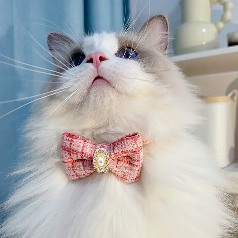 Retro Bowknot macskanyakörv Gyönggyel, Állítható kiskutya, Csokornyakkendő, Biztonsági csat, Cica nyaklánc, Kisállat születésnapi kiegészítők