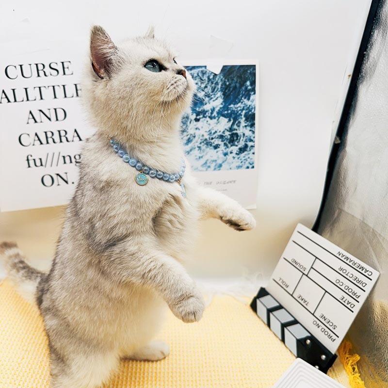 Slatke modne potrepštine za kućne ljubimce Dodaci za mačke Ogrlica Biserna kristalna ogrlica za kućne ljubimce Privjesak od bisernih perli od punog kristala Proizvodi za kućne ljubimce