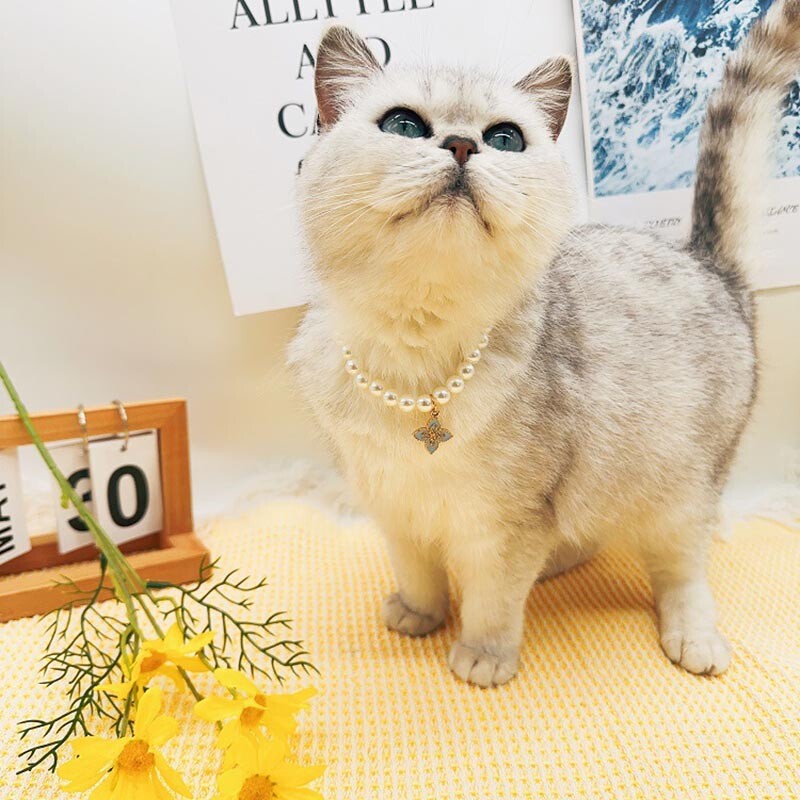 Slatke modne potrepštine za kućne ljubimce Dodaci za mačke Ogrlica Biserna kristalna ogrlica za kućne ljubimce Privjesak od bisernih perli od punog kristala Proizvodi za kućne ljubimce