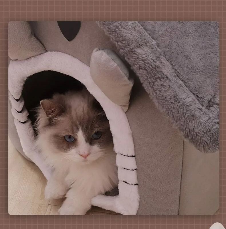 Visu sezonu silti mazgājama kaķu suņu māja iekštelpās, mīksta noņemama spilvena mājdzīvnieku guļvieta maziem un vidējiem mājdzīvniekiem Izturīgi mājdzīvnieku piederumi