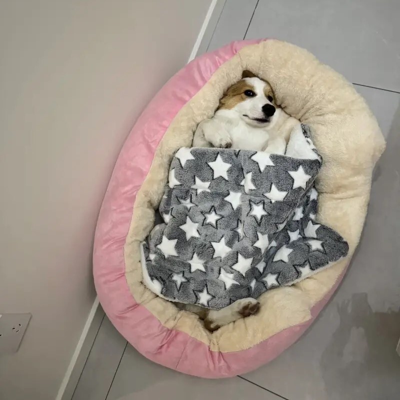 Gulta kaķiem Mājdzīvnieku preces Spilveni Kaķēnu preces Aksesuāri Suns Visas Mājas Piederumi Lietas Piederumi Dzīvotnes Grozs Mājas Gultas