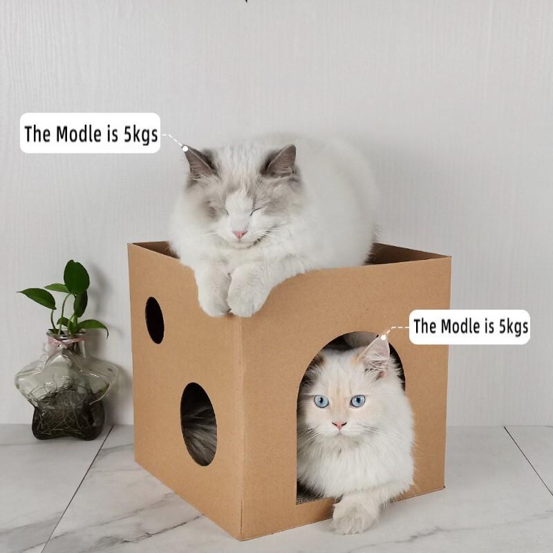 Kaķa kartona kaste Kaķu māja Kaķu skrāpis Spīļu asināšana Kartona Kaķēns Spēlē kaķu skrāpējamo dēli Kaķu skrāpējamā rotaļlieta kaķiem