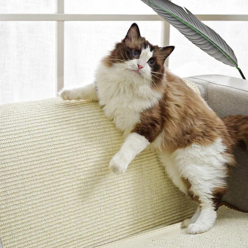 Kaķu skrāpēšanas paklājs Dabīgs sizals Kaķu paklājs Atzveltne Nodilumizturīgs Bez skaidām Aizsardzība Mēbeles Dīvāns Spilveni Mājdzīvnieku piederumi