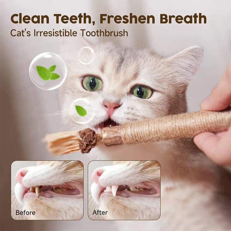 Cat Chew Stick Natūralus Matatabi Pet Cat Užkandžių lazdelės Ctinidia Silvervine Naminių gyvūnėlių žaislų valymo dantis kačiukams Kačių priedai