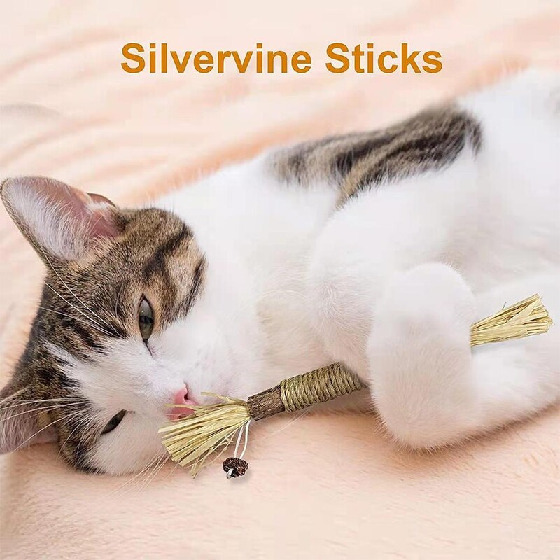 Cat Chew Stick Natūralus Matatabi Pet Cat Užkandžių lazdelės Ctinidia Silvervine Naminių gyvūnėlių žaislų valymo dantis kačiukams Kačių priedai