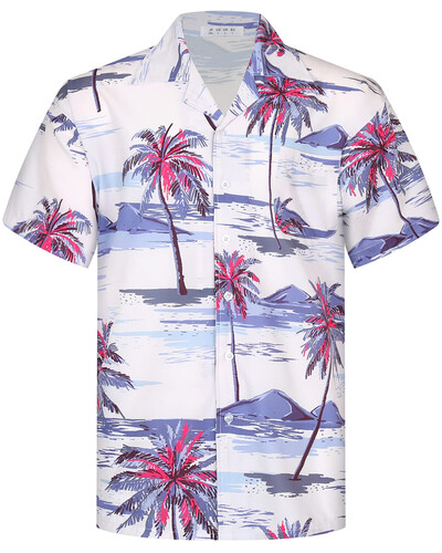Vasaros mados vyriški havajietiški marškiniai trumpomis rankovėmis, su kokoso medžiu marginti laisvalaikio paplūdimio Aloha marškinėliai, didesnio dydžio 6XL Hombre Ropa