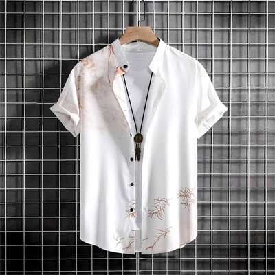 Lihtne meeste särk 3D-trükiga retromoodne ülaosa, mis on lahtine, iga päev vaba, lühikeste varrukatega särk, mugav meeste riided