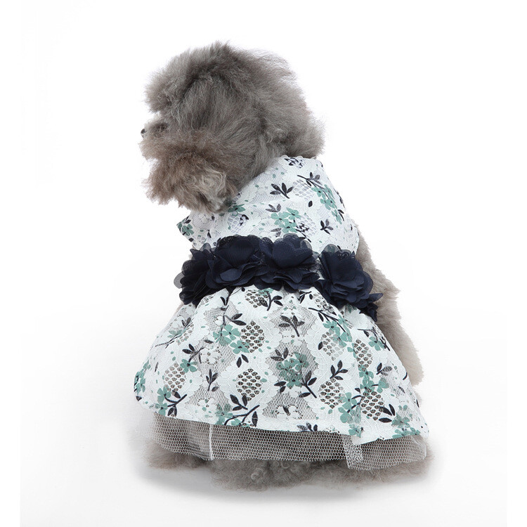 Piiriülene kuummüük lemmikloomade riided kleit koer pulm pulmariietus smoking kassi kutsika lemmiklooma õhtukleit