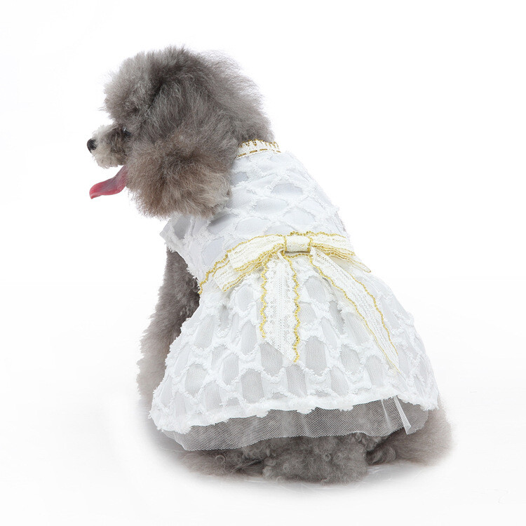 Piiriülene kuummüük lemmikloomade riided kleit koer pulm pulmariietus smoking kassi kutsika lemmiklooma õhtukleit