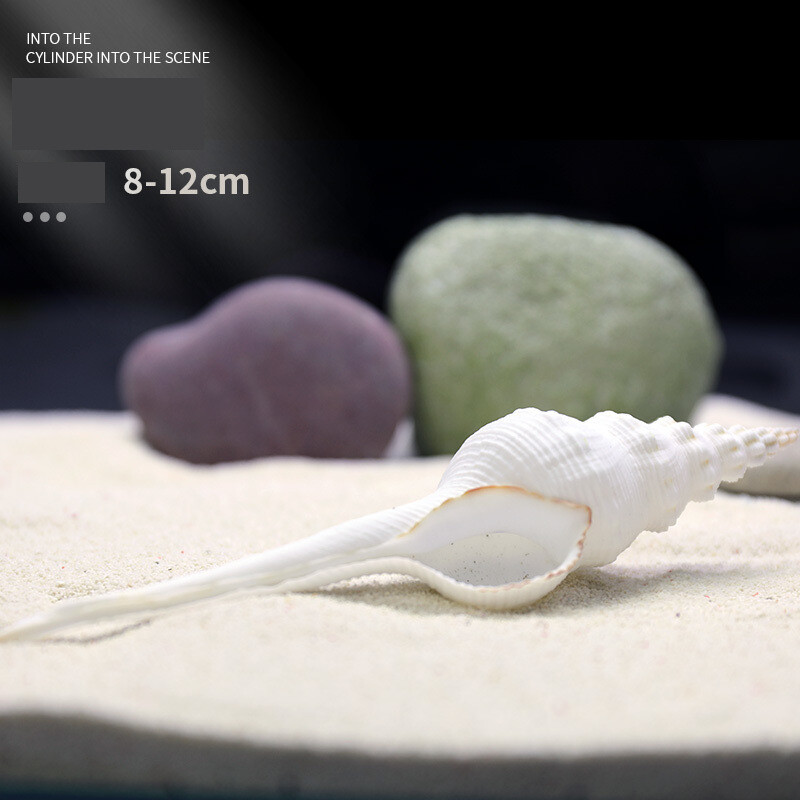 Natūralus kriauklė akvariumas žuvų rezervuaras kraštovaizdžio dekoravimas dideli ir maži kriauklės papuošalai žuvų ir krevečių slėptuvė namo lizdas