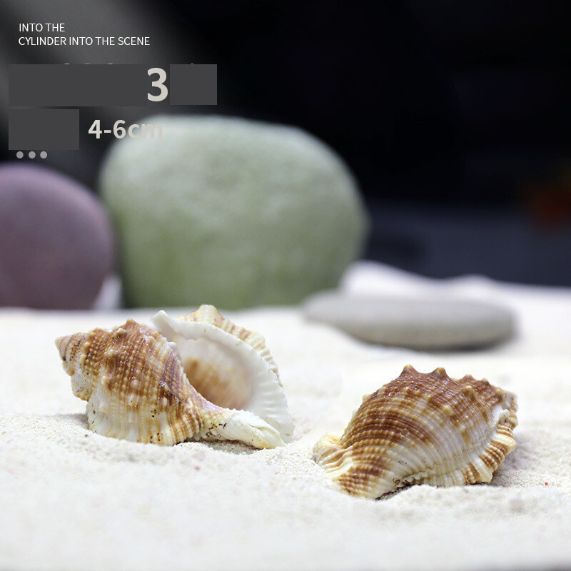 Natūralus kriauklė akvariumas žuvų rezervuaras kraštovaizdžio dekoravimas dideli ir maži kriauklės papuošalai žuvų ir krevečių slėptuvė namo lizdas