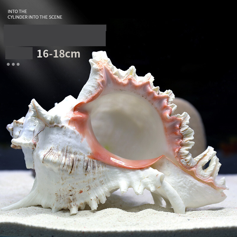 Natūralus kriauklė akvariumas žuvų rezervuaras kraštovaizdžio dekoravimas dideli ir maži kriauklės papuošalai žuvų ir krevečių slėptuvė namo lizdas