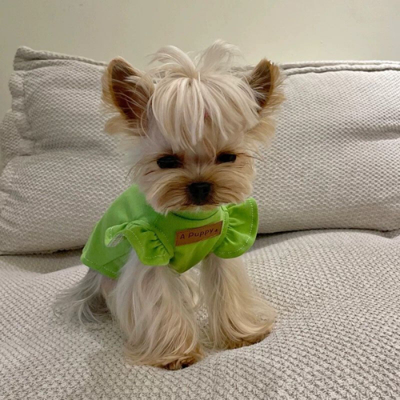 Meškiuko šnaucerio nėriniai, mažos skraidančios rankovės liemenės Maltos Jorkšyro šunų katės ploni tekstūros drabužiai