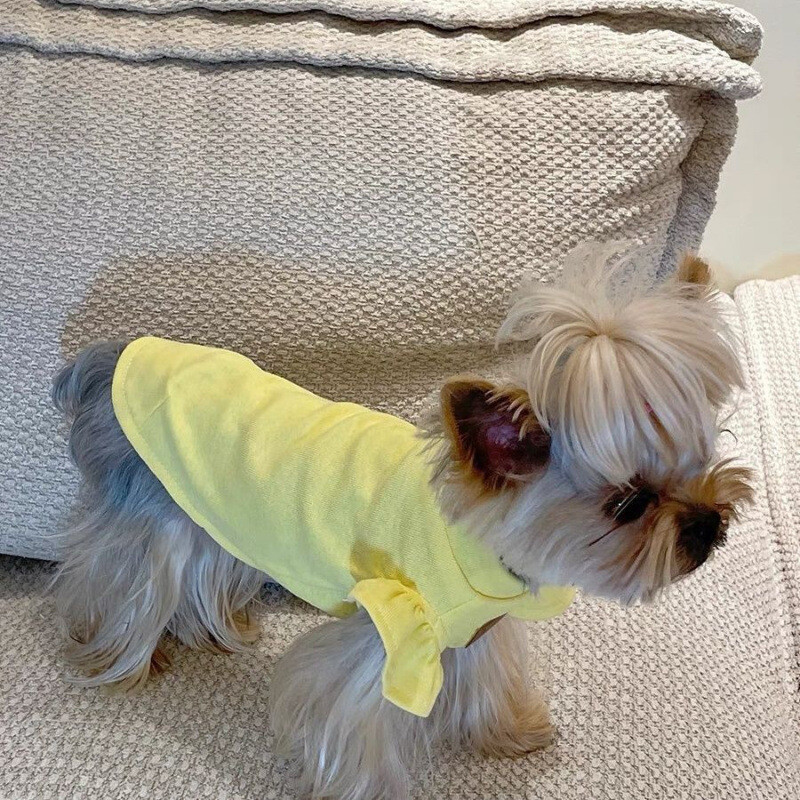 Meškiuko šnaucerio nėriniai, mažos skraidančios rankovės liemenės Maltos Jorkšyro šunų katės ploni tekstūros drabužiai