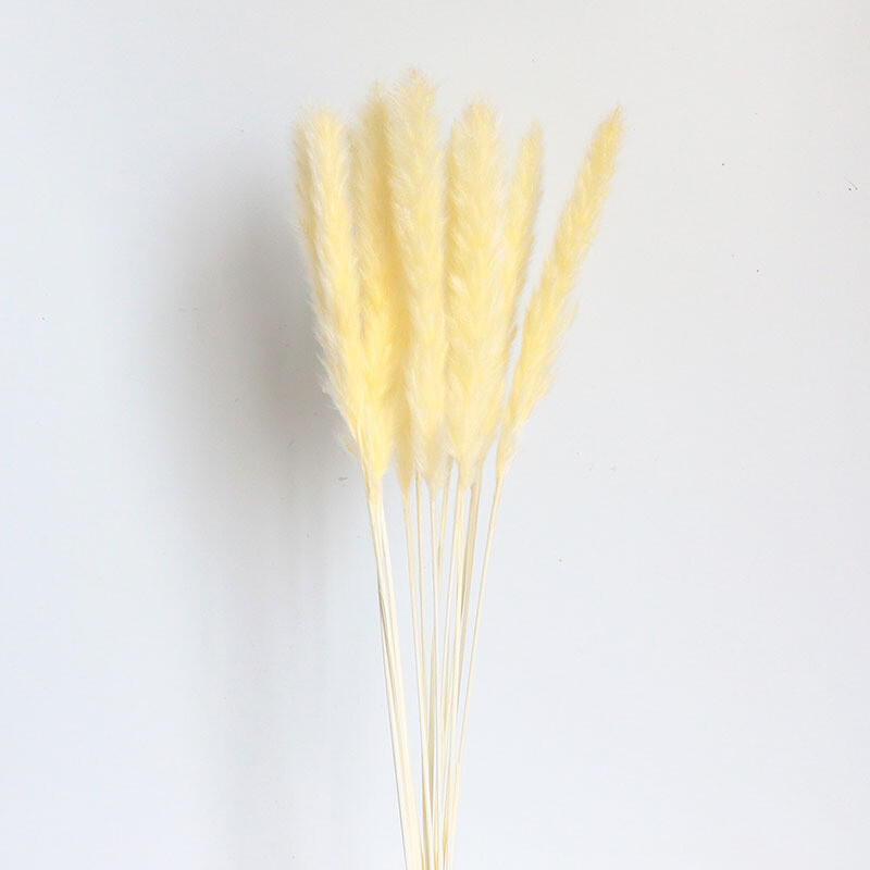 tarpvalstybinės mažos nendrinės džiovintos gėlės svetainės vakarėlių dekoravimas foto rekvizitas pampų gamintojai vietoje didmeninė prekyba