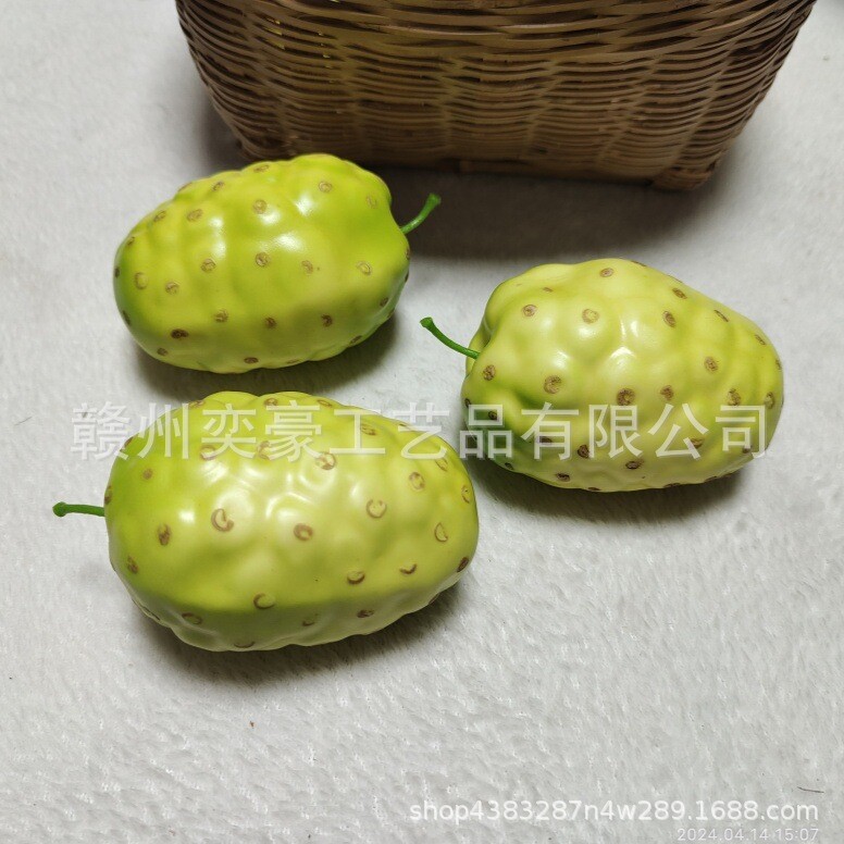 Rūpnīcas vairumtirdzniecības simulācijas augļu modeļu apdares butaforijas viltotu noni tropu augļu paraugu vitrīnas fotografēšana