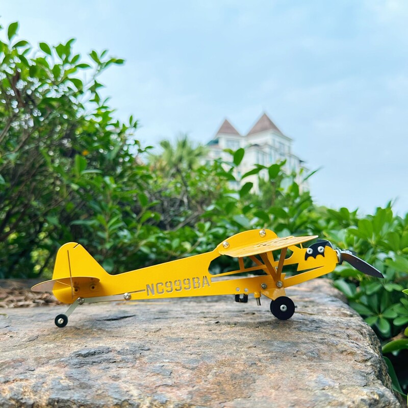 Tarpvalstybinė nepriklausoma stotis metalinė geležies geltona besisukanti orlaivio vėtrungė sodo dekoravimo kiemo vėjo malūnas