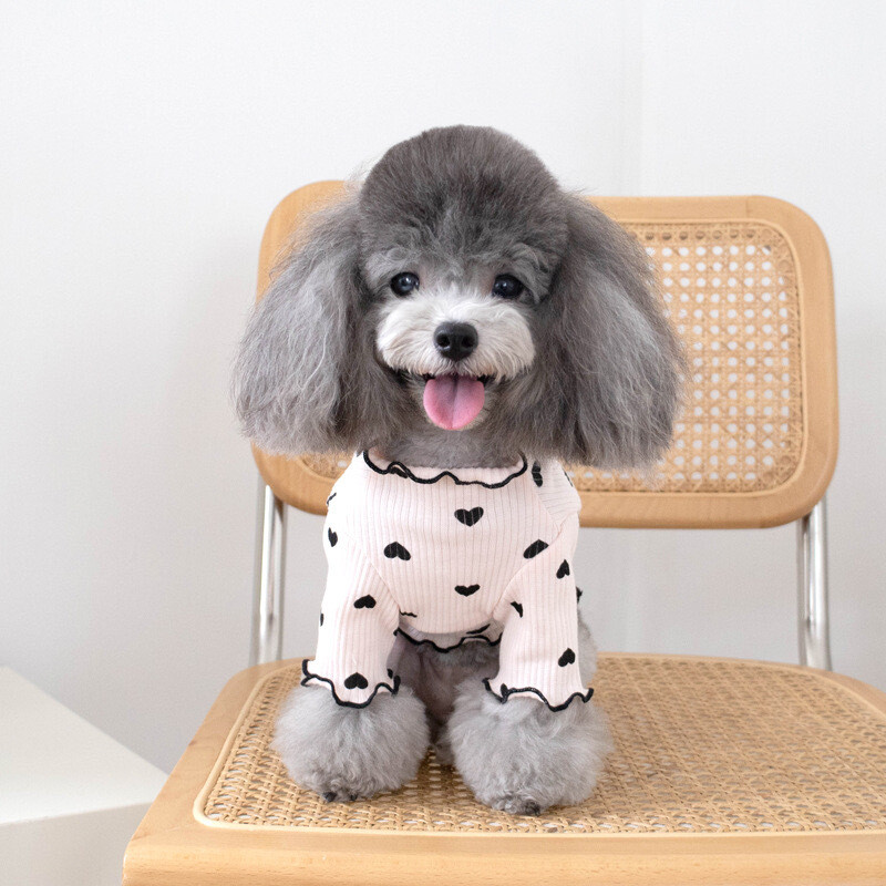 Armastusvest Kutsimisvastane kampsun Kevad- ja sügisstiilis siseriided kassidele ja koertele Lemmikloomariided Väike koerakutsikas kaisu