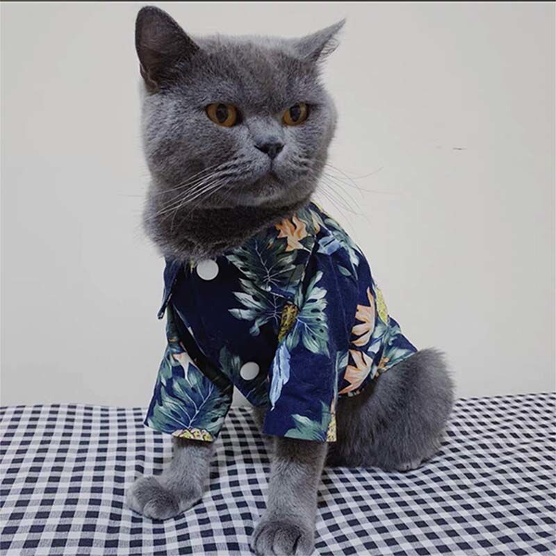 Котешки дрехи пролет и лято тънка риза жилетка куче котка дрехи сладко коте плюшено облекло консумативи