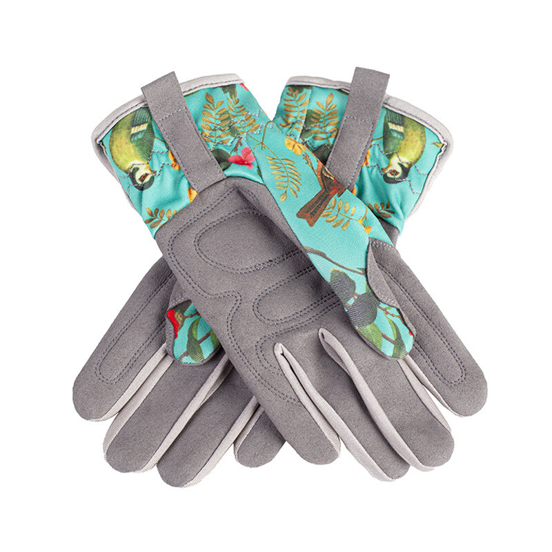 Moteriškos sodo pirštinės, Atsparios erškėčiams, Sustorėjusi sodo rožė, rožė, kaktusas, ežiukas, pipirų skynimas, gėlių sodinimas, specialus