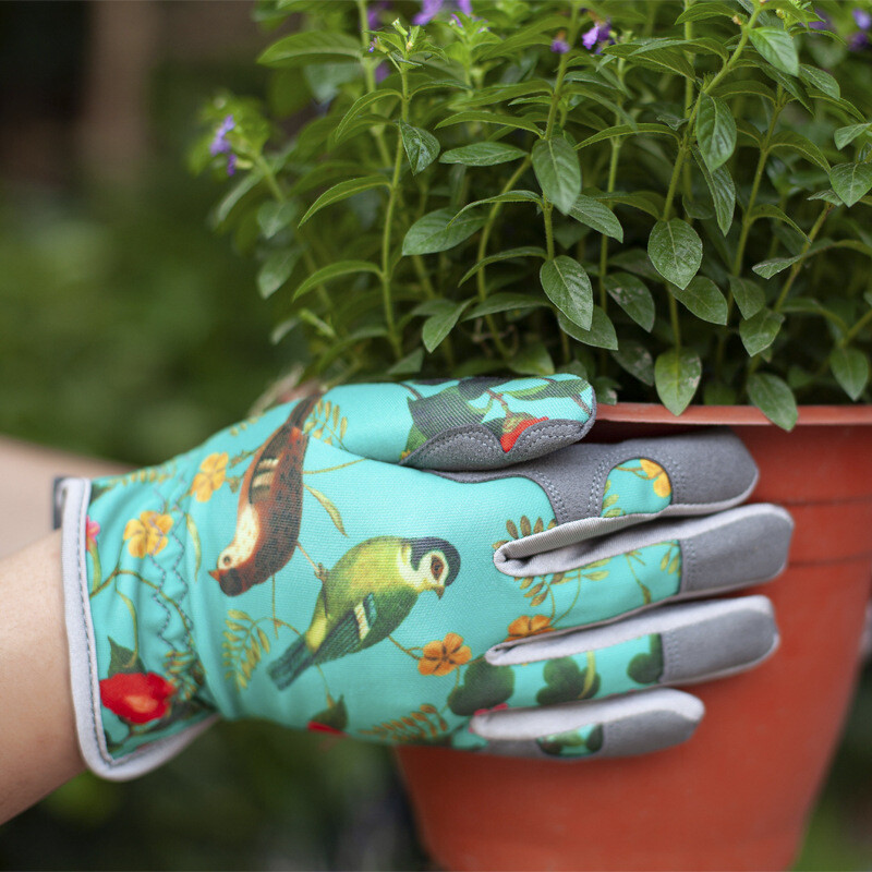 Moteriškos sodo pirštinės, Atsparios erškėčiams, Sustorėjusi sodo rožė, rožė, kaktusas, ežiukas, pipirų skynimas, gėlių sodinimas, specialus