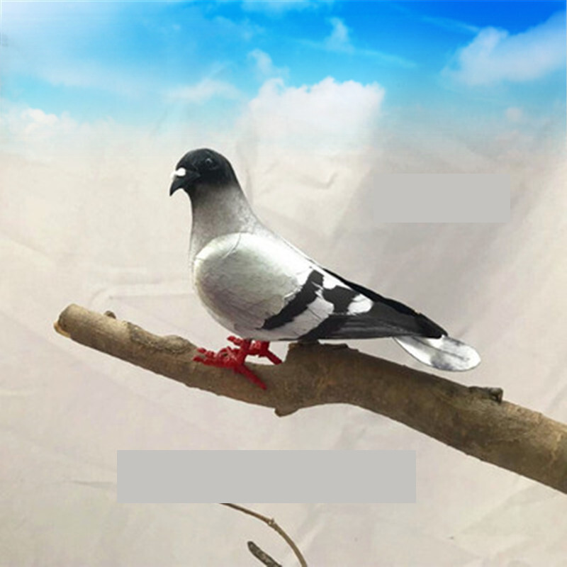 Imitacija balandis pilkas balandis laukinis balandis kvadratinis balandis vėžlys fotografijos rekvizitai sodo reikmenys balandžių paukščio modelis