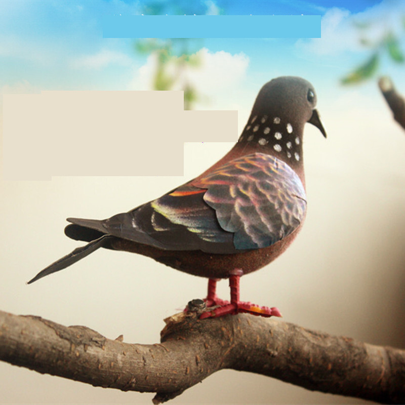 Imitacija balandis pilkas balandis laukinis balandis kvadratinis balandis vėžlys fotografijos rekvizitai sodo reikmenys balandžių paukščio modelis